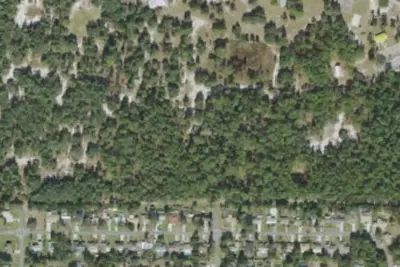 Fox Squirrel Trail