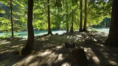Harlequin Campground