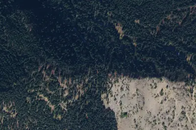 Camp site