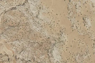 Camp site
