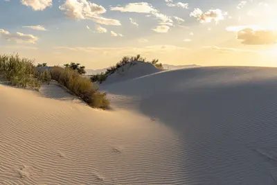 White Sands National Park, New Mexico, USA 5-2024 7