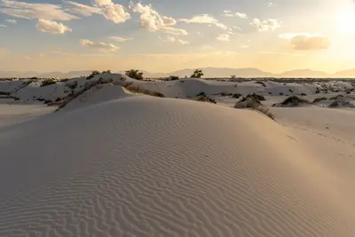 White Sands National Park, New Mexico, USA 5-2024 9