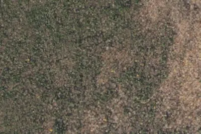 Osgood Tentsite