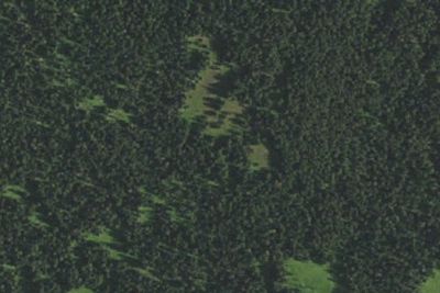 Camp site (National Park Service)