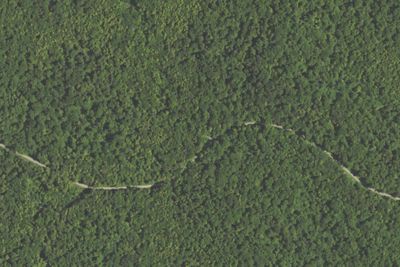 Camp site (Pennsylvania Bureau of Forestry)