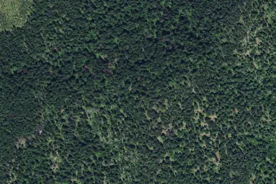 Camp site