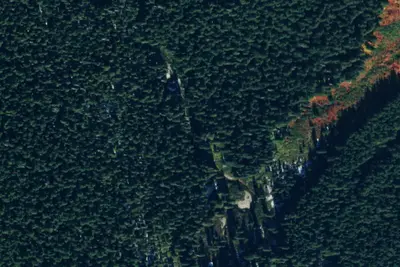 Camp site