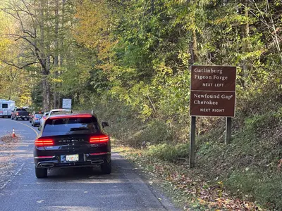 Little River Road - October 2025 - Sarah Stierch