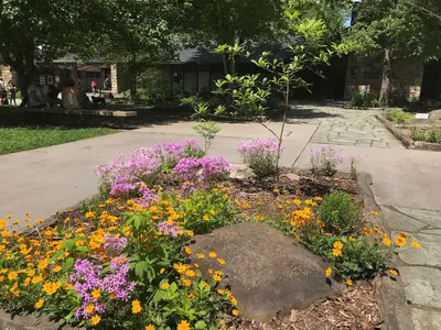 Sugarlands Visitor Center Pollinator Garden, May 2018--Andrea Walton (41173590290)