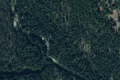 Camp site