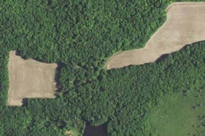 Site #6