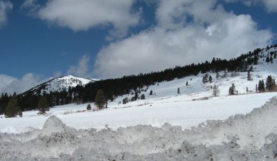 Sagehen Campground