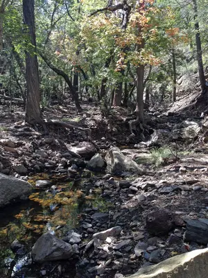 Boot Canyon stream