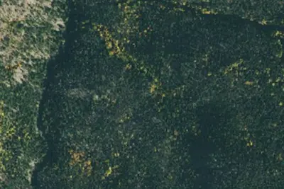 U.S. Forest Service Site 7