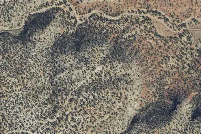 Camp site