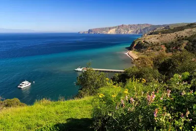 View of harbor with boat and pier from grassy bluff.