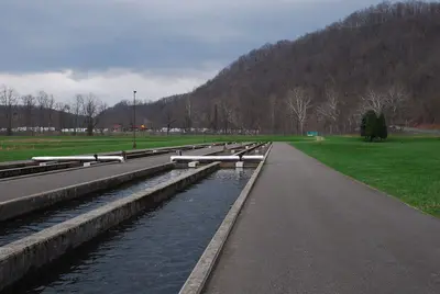 Bowden Fish Hatchery