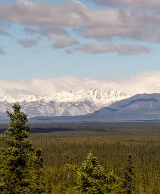 Snow-capped in the distance (7041671233)
