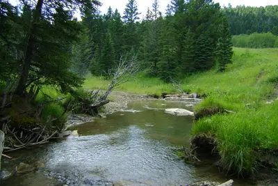 Beaver Creek in the Porcupine Hills - August 2010 - panoramio
