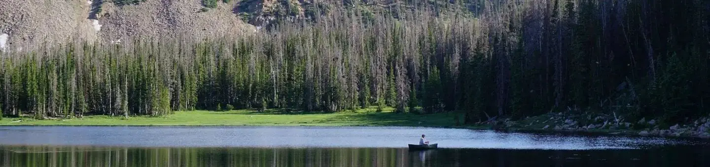 Moosehorn campground