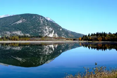 Mirror in Water - panoramio