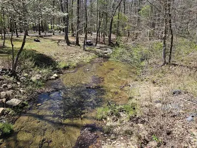 Otter Creek
