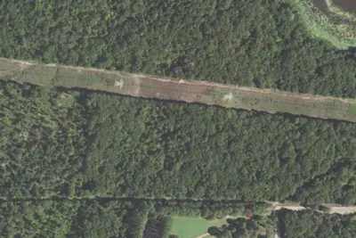 Hickory Grove