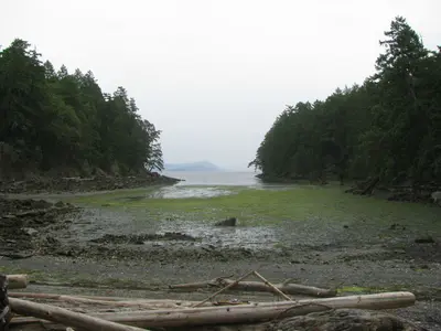 Conovoer Cove Campsite (BCMT)
