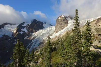 Hound's Tooth