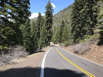 Stanislaus National Forest, Pinecrest, United States May 07, 2017 014223
