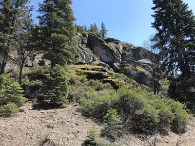 Stanislaus National Forest, Pinecrest, United States May 07, 2017 014109