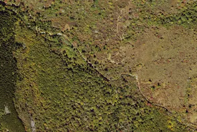 Camp site