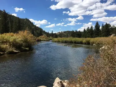 Spillway Campground