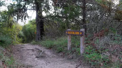 Bucktail Run Trail Lake Somerville SP Texas 2023