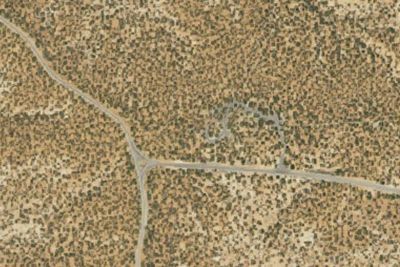 Site 6
