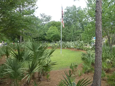 Flagpole and sabal at Jefferson County rest area