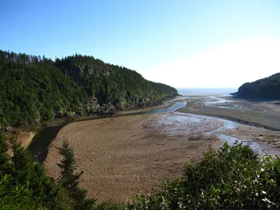 Point Wolfe River Estuary (6306992418)