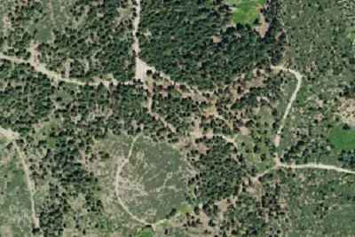 Board Tree Campground