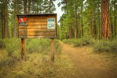 Riverside campground