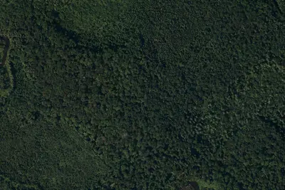 Site #4