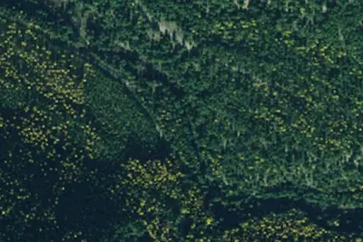 Rd 207 Site 1