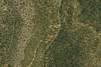 Site 7