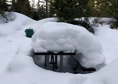 Anyone fancy a picnic? (32435487691)