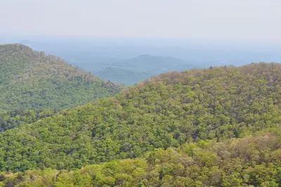 Mauntain view Chattahoochee National Forest near Suches, GA - panoramio