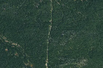 Camp site