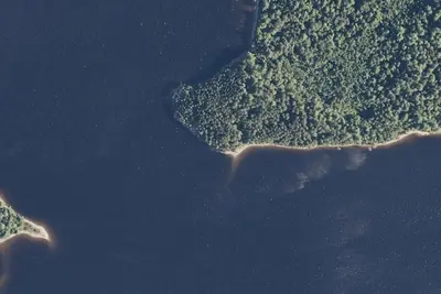 Pine Point Tentsite