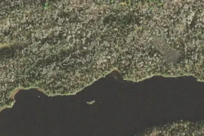 Pickett Lake Site 1