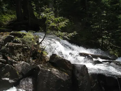 Survivor McIntosh Falls - Flickr - brewbooks