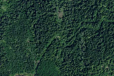 Rd 1575 Site 6