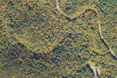 Camp site